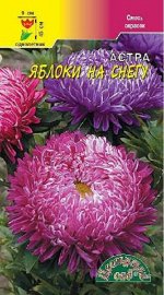 Астра Яблоки на снегу 0,1гр