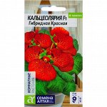 Кальцеолярия Гибридная Красная 5шт