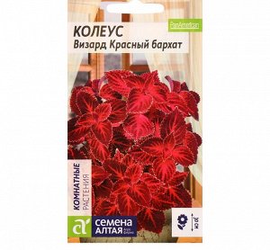 Колеус Визард Красный бархат 5шт