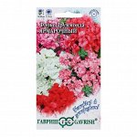 Флокс Друимонда Ярмарочный 0.3г