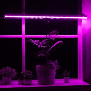 Фитолампа (светильник для растений светодиодный линейный), 570мм, выкл. на корпусе. Пластик. Спектр для рассады и цветения. ULI-P28-11W/SPSB IP20 WHITE