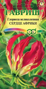 Глориоза Сердце Африки 3шт ГШ цв/п