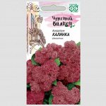 Агератум Калинка 0,1г Чудесный балкон