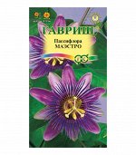 Пассифлора  Маэстро 5шт ГШ цв/п