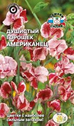 Вьюн Душистый горошек Американец 0,5г СеДек цв/п 26