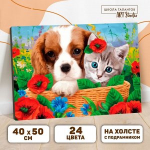 Картина по номерам на холсте с подрамником «Котенок и щенок» 4050 см