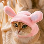 Шапочка