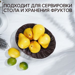 Корзинка для фруктов и хлеба Доляна «Шоко», 25?17?6 см