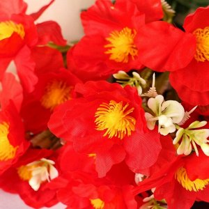 Букет "Бегония Топхэт" 12 цветков, d-7 см h-31 см, микс