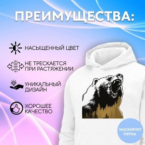 Термотрансфер «Дикий медведь», 18,6 ? 20,3 см