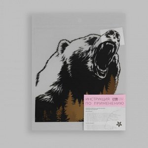 Термотрансфер «Дикий медведь», 18,6 x 20,3 см