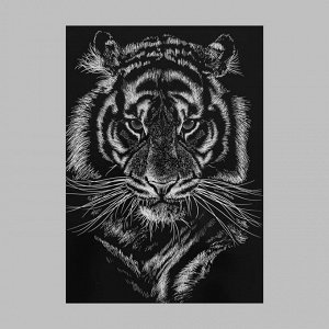 Термотрансфер «Портрет тигра», 22 ? 28 см