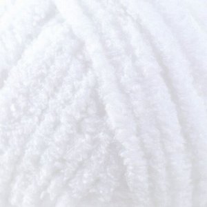 Пряжа "Softy Plus" 100% микрополиэстер 120м/100г  (55 белый)