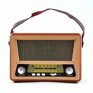 Портативный радиоприемник Meier M-553 Bluetooth, FM