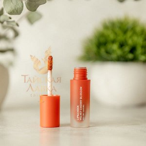 Тинт для губ и щек матовый «Velvet Cherry Blossom» (№03 Dry Sakura) Baby Bright / Baby Bright Lip & Cheek Velvet Cherry Blossom 03 Dry Sakura