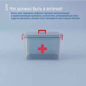 Аптечка, 24x17x13 см, пластик, прозрачная