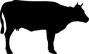 Гемоглобин (Альбумин черный говяжий), Аргентина 3кг