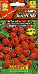 Малина Элегантная (Код: 90775)