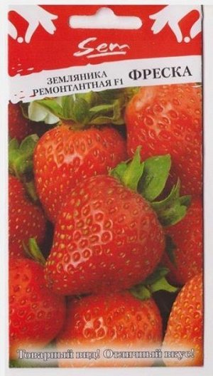 Земляника Фреска ремонтантная F1 (Код: 3518)