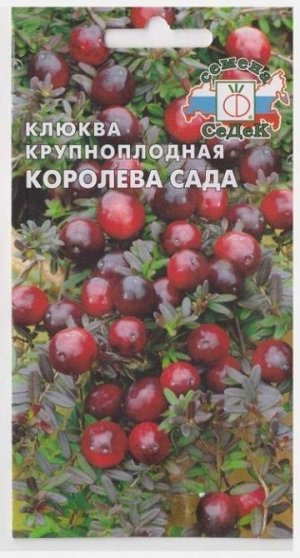 Клюква Королева сада (Код: 68357)