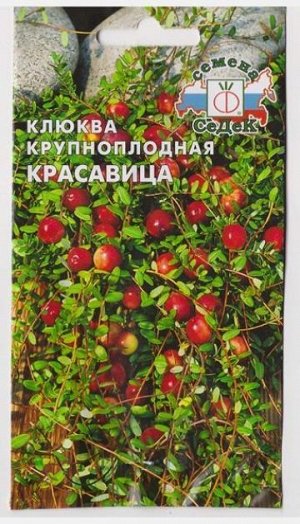Клюква Красавица (Код: 72512)