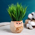Горшок &quot;Сова&quot; 6,5х6,5х6см, коричневый