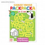 Раскраска «Лабиринты и путаницы», 12 стр.