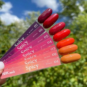 Гель-лак NIK NAILS  Spicy №04 8мл