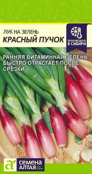 Лук на зелень Красный Пучок 0,3гр