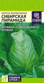 Капуста Белокочанная Сибирская Пирамида 0,5 гр