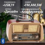 Портативный радиоприемник NNS NS-8068 Bluetooth, FM