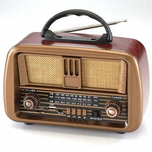 Портативный радиоприемник NNS NS-8068 Bluetooth, FM