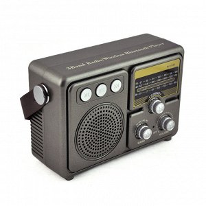 Портативный радиоприемник Meier M-551 Bluetooth, FM