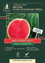 Арбуз КАРИСТАН F1  (Syngenta) 5 штук