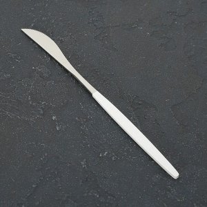 Нож столовый Magistro «Блинк», h=22 см, на подвесе, цвет металла серебряный, белая ручка