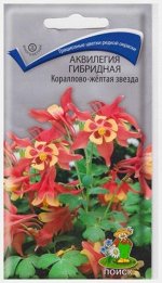 Аквилегия Кораллово-желтая Звезда (Код: 66041)