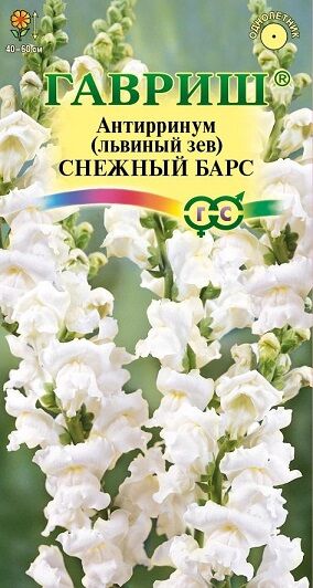 Львиный зев Снежный барс (Код: 90653)