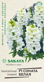 Львиный зев Соната Белая (Код: 90654)