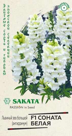 Львиный зев Соната Белая (Код: 90654)