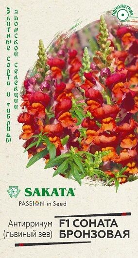 Львиный зев Соната Бронзовая (Код: 90655)