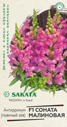 Львиный зев Соната Малиновая (Код: 90657)