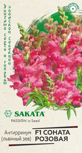 Львиный зев Соната Розовая (Код: 90659)