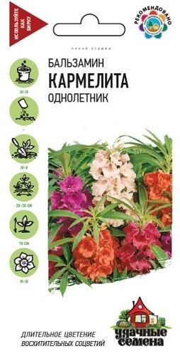 Бальзамин Кармелита садовый (Код: 15652)