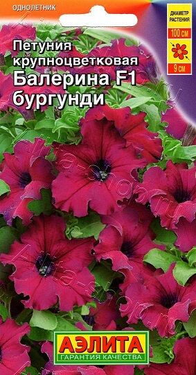 Петуния Балерина F1 Бургунди (Код: 14745)