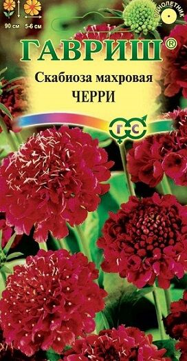 Скабиоза Красный король (Код: 90699)