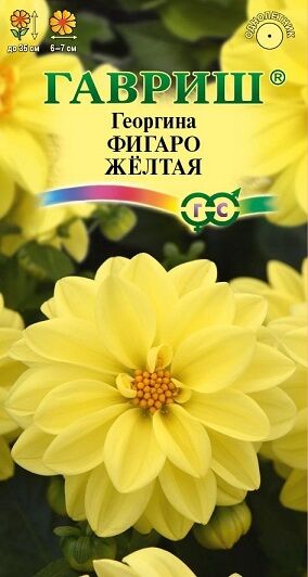 Георгина Фигаро желтая (Код: 90670)