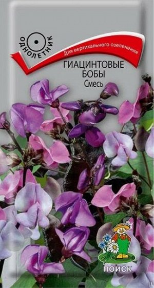 Гиацинтовые бобы Смесь (Код: 72309)