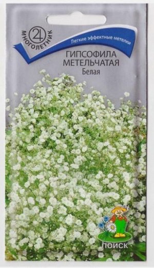 Гипсофила метельчатая Белая (Код: 65748)