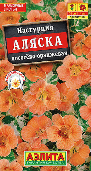 Настурция Аляска Лососево-оранжевая (Код: 90760)