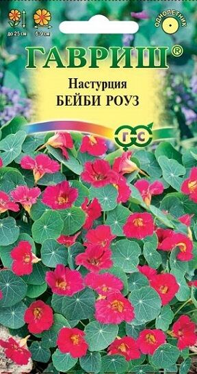 Настурция Бейби Роуз (Код: 90681)